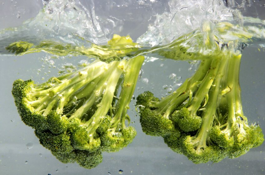 Brocoli