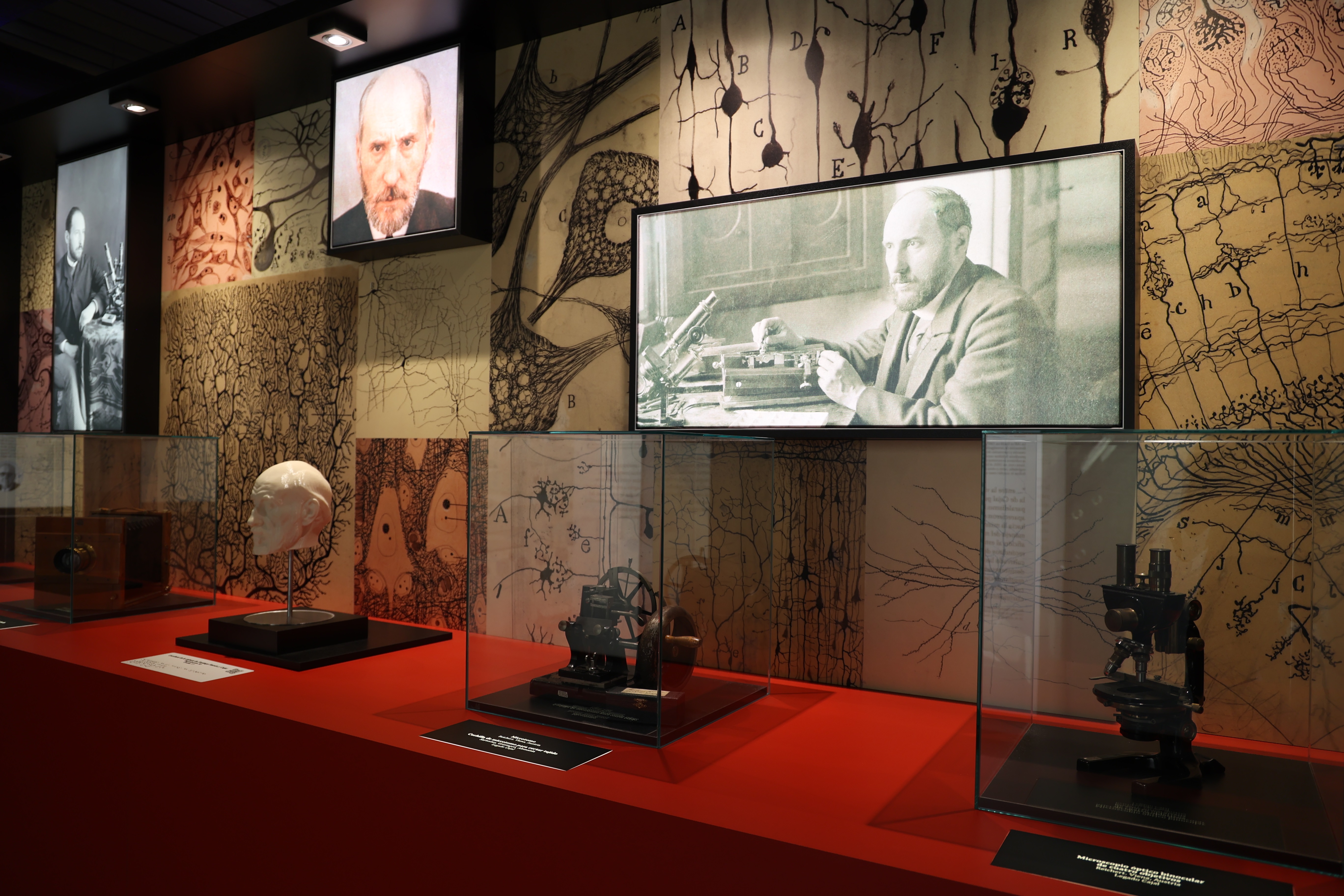 imagen de la exposición de Cajal