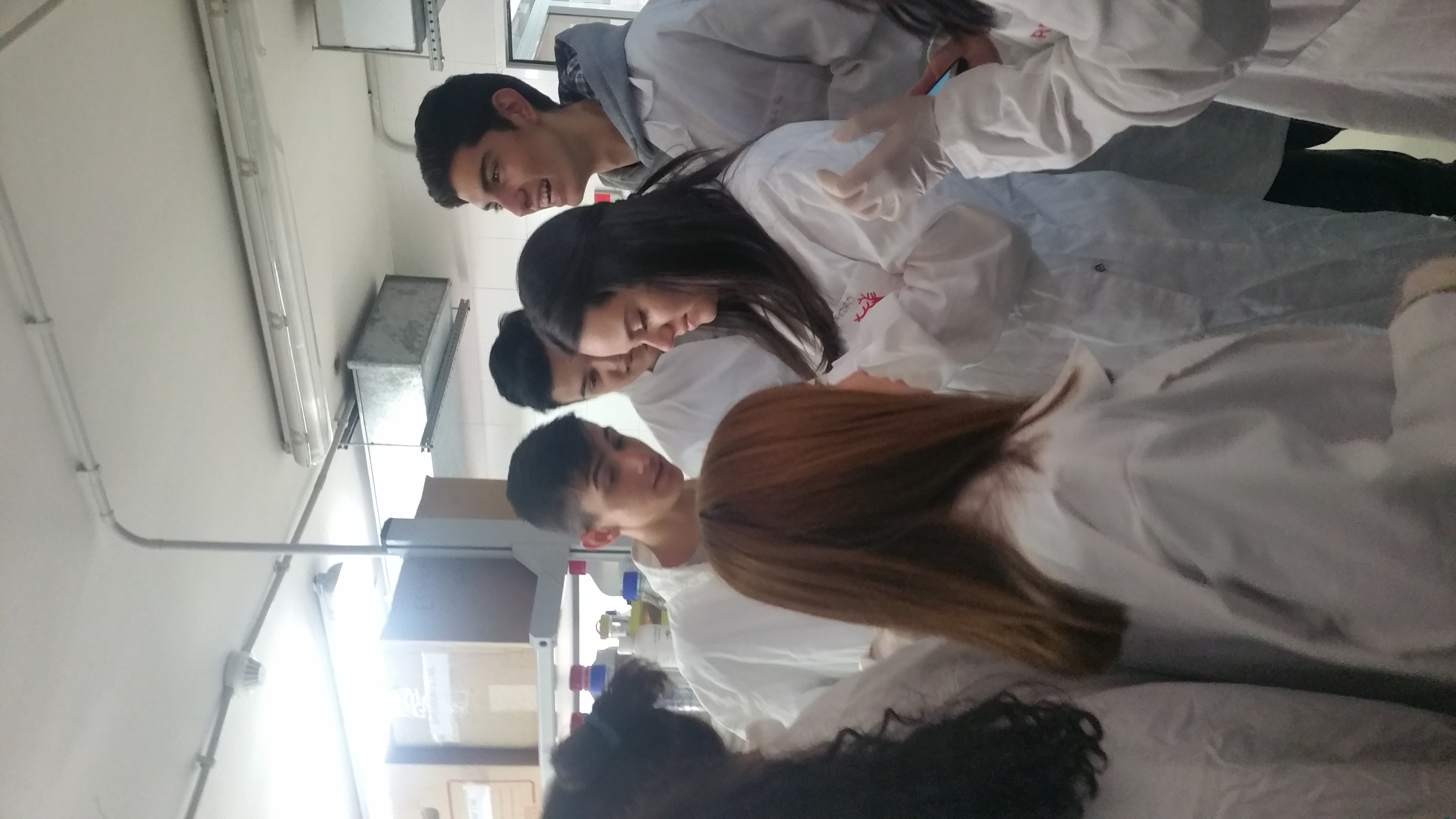 Actividad laboratorios IREC