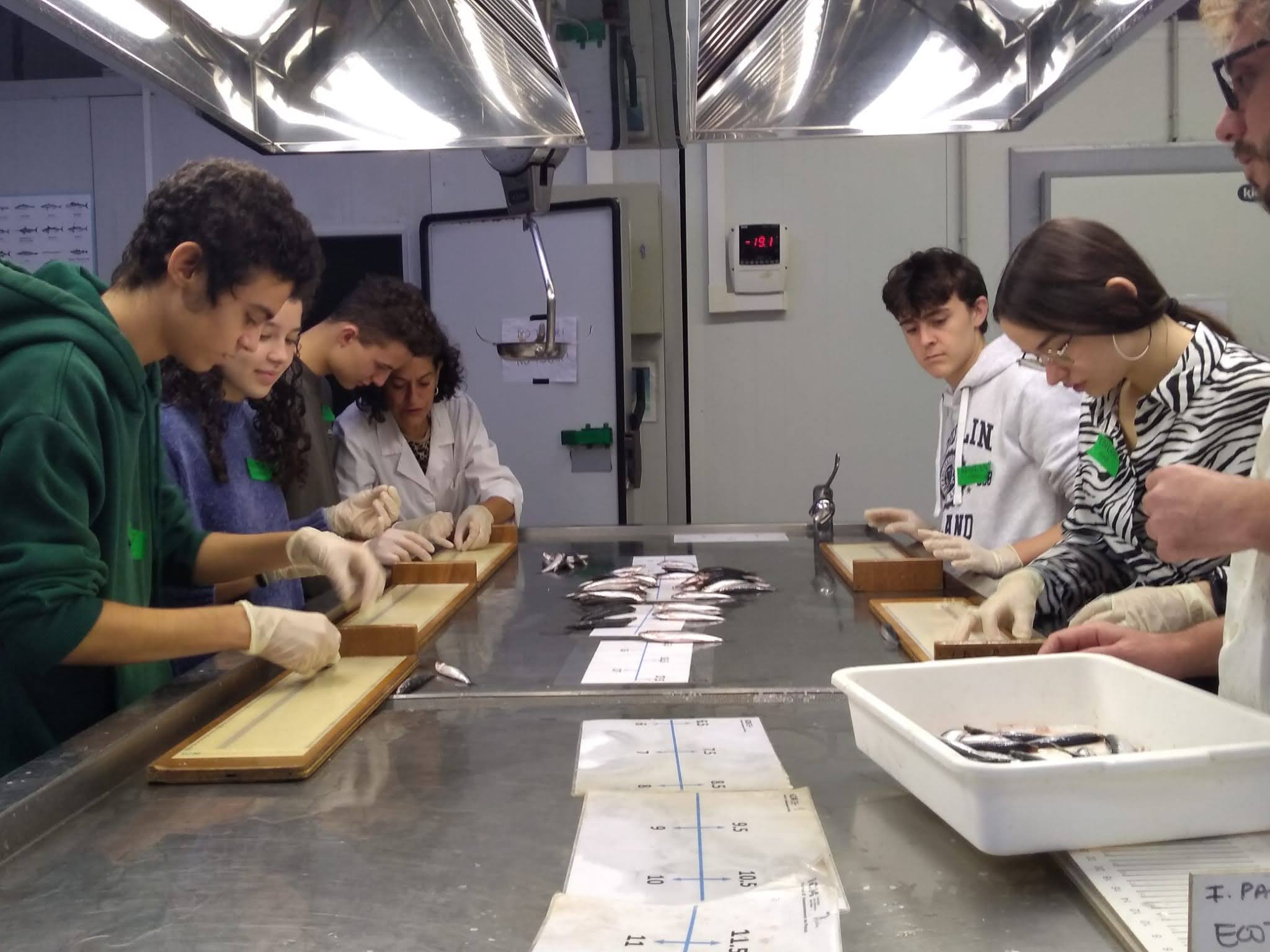 Imatge Jornada de Portes Obertes CMIMA-CSIC