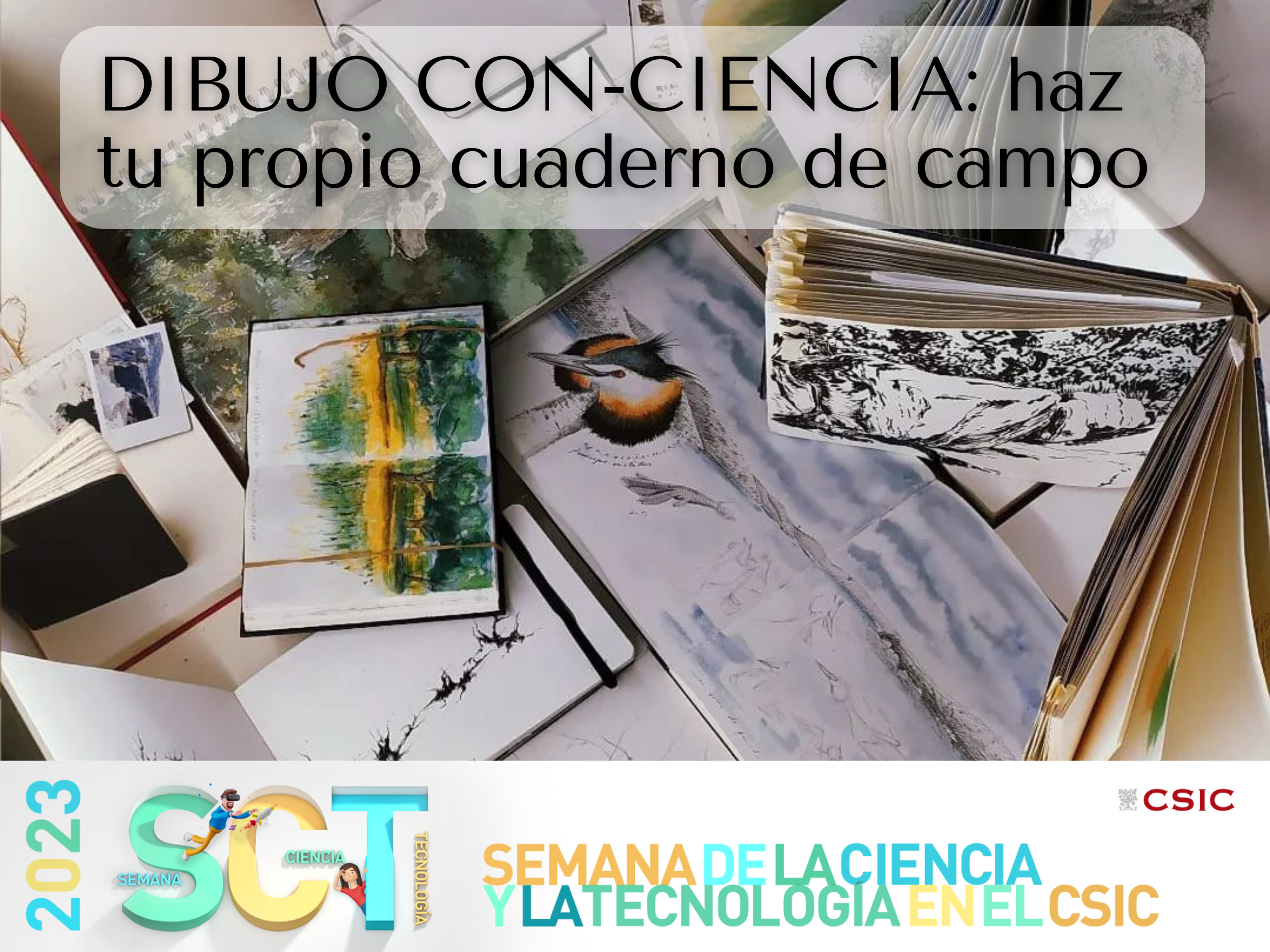 DIBUJO CON-CIENCIA: haz tu propio cuaderno de campo