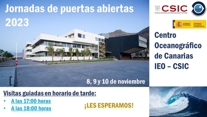 Cartel de la actividad