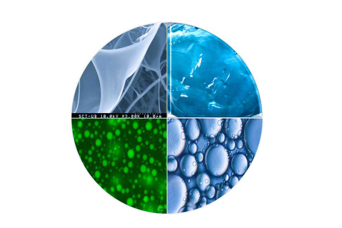 Foto microscopía