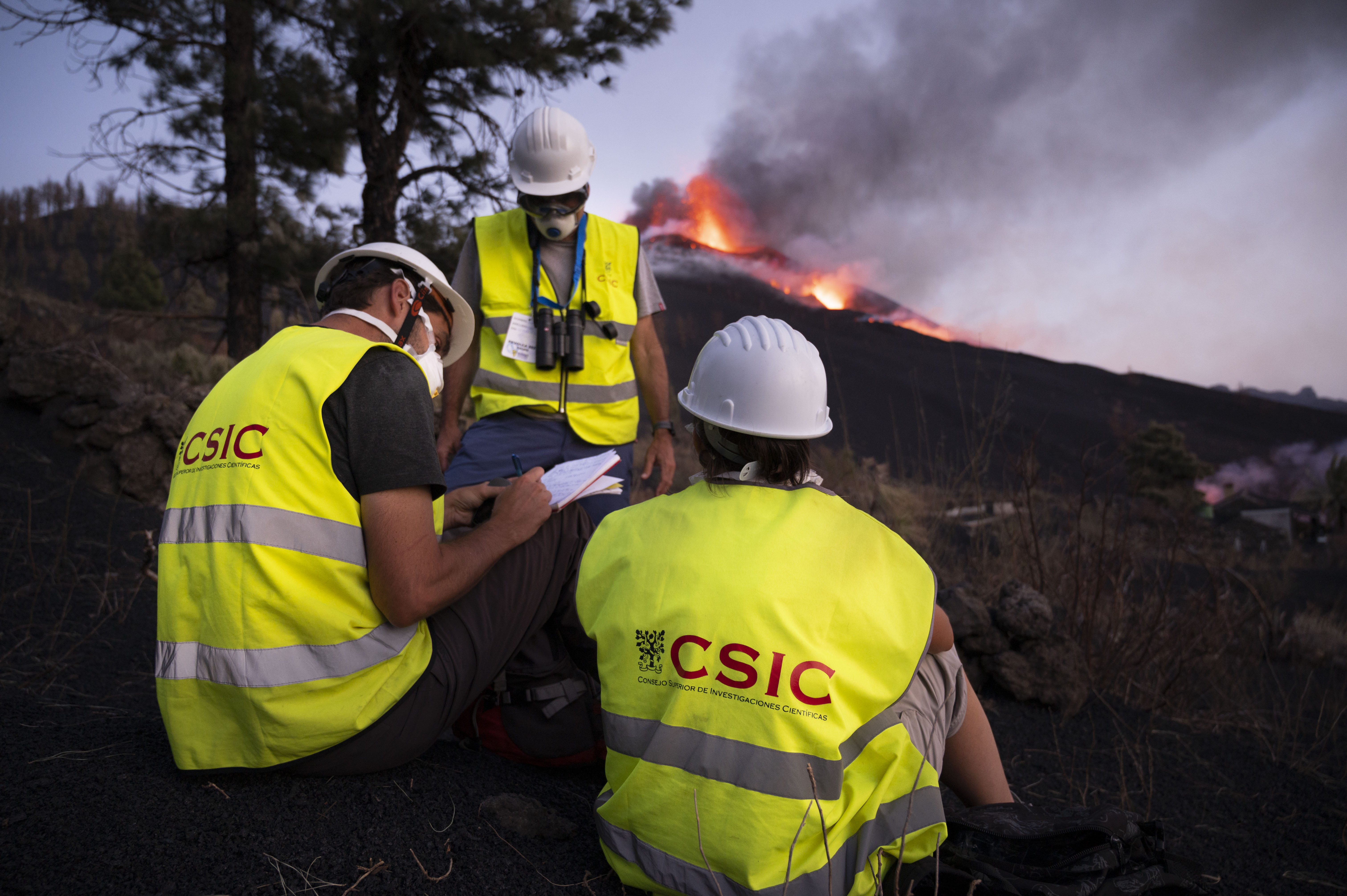 Procesos eruptivos