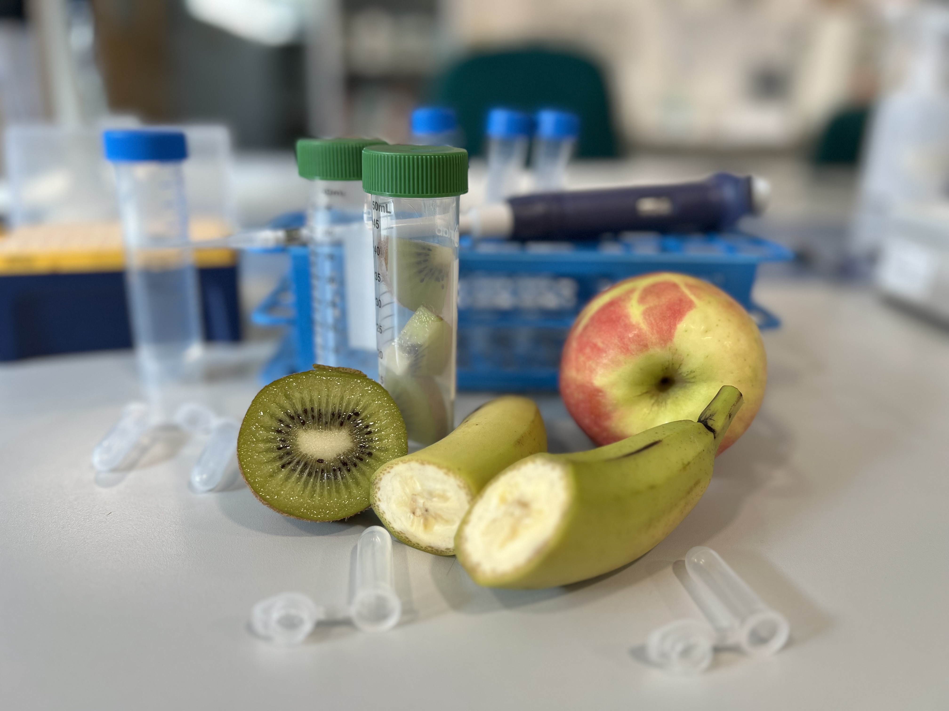 Materiales para la extracción de ADN