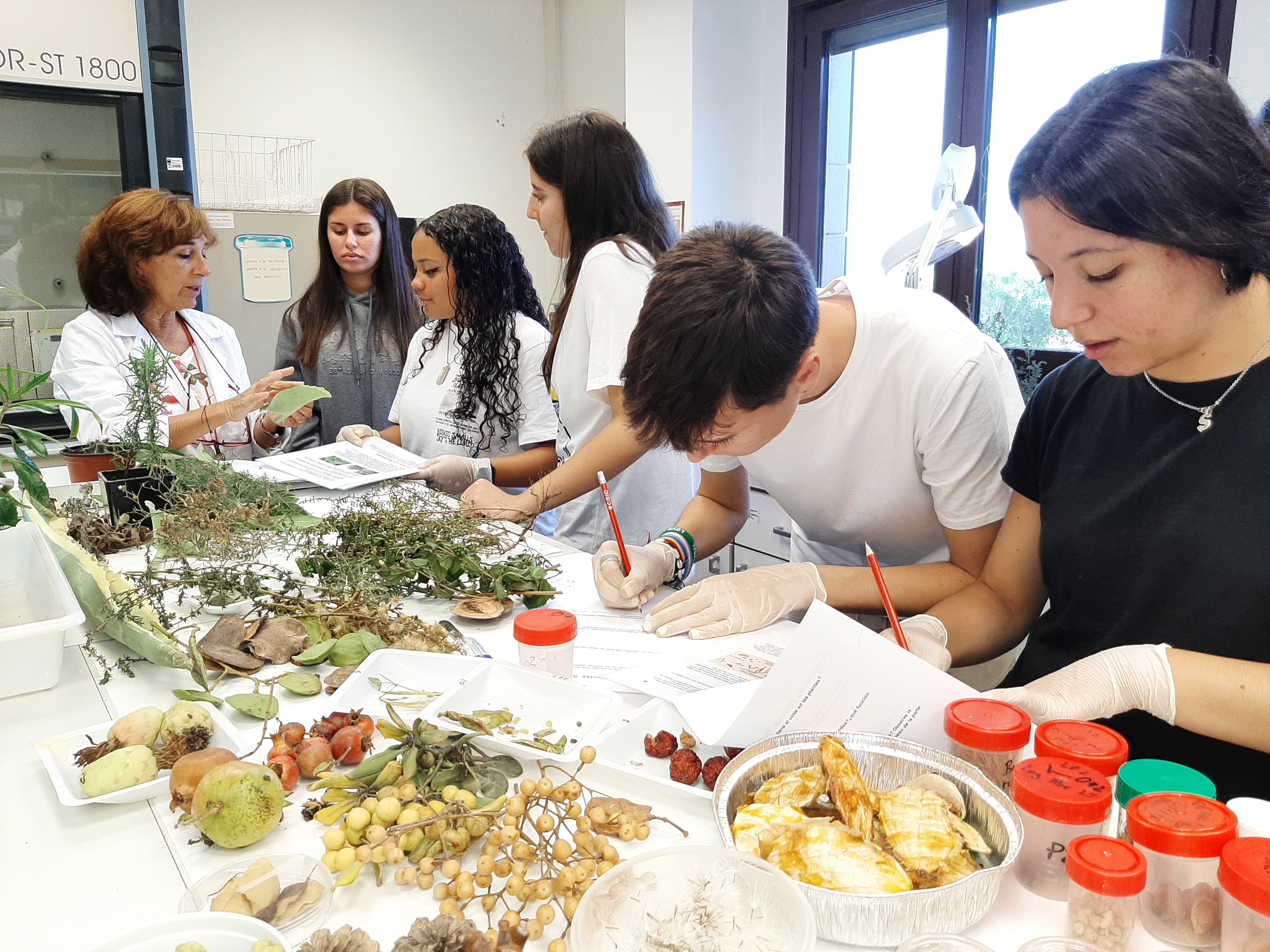 Piensa en verde:experimentando con plantas