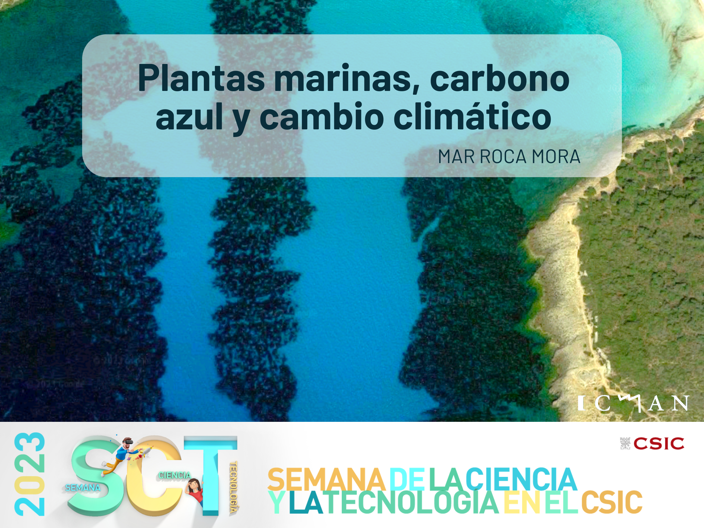 Plantas marinas, carbono azul y cambio climático
