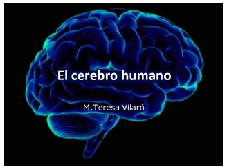 Xerrada "El cervell humà"