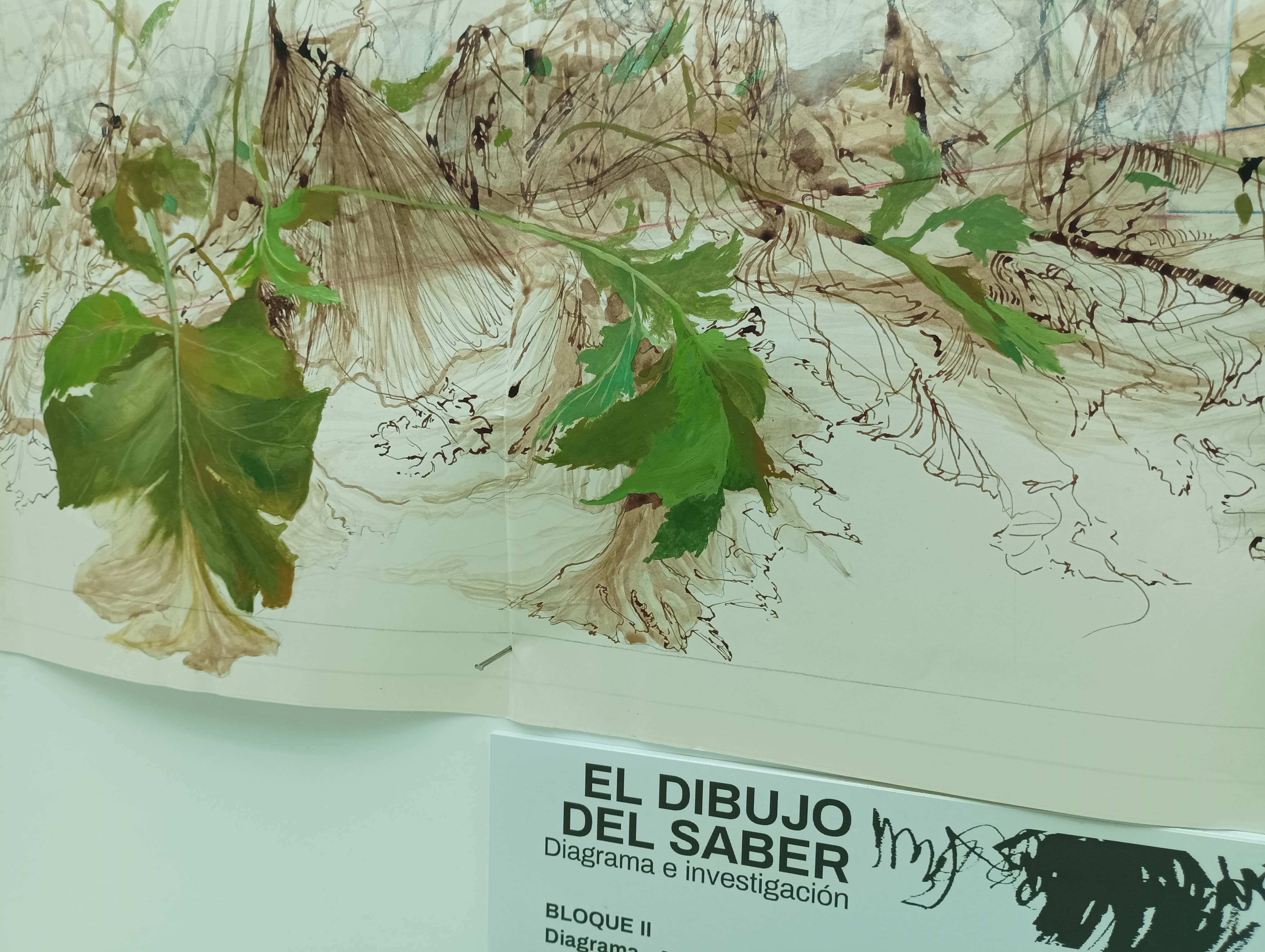 Motivo de la exposición