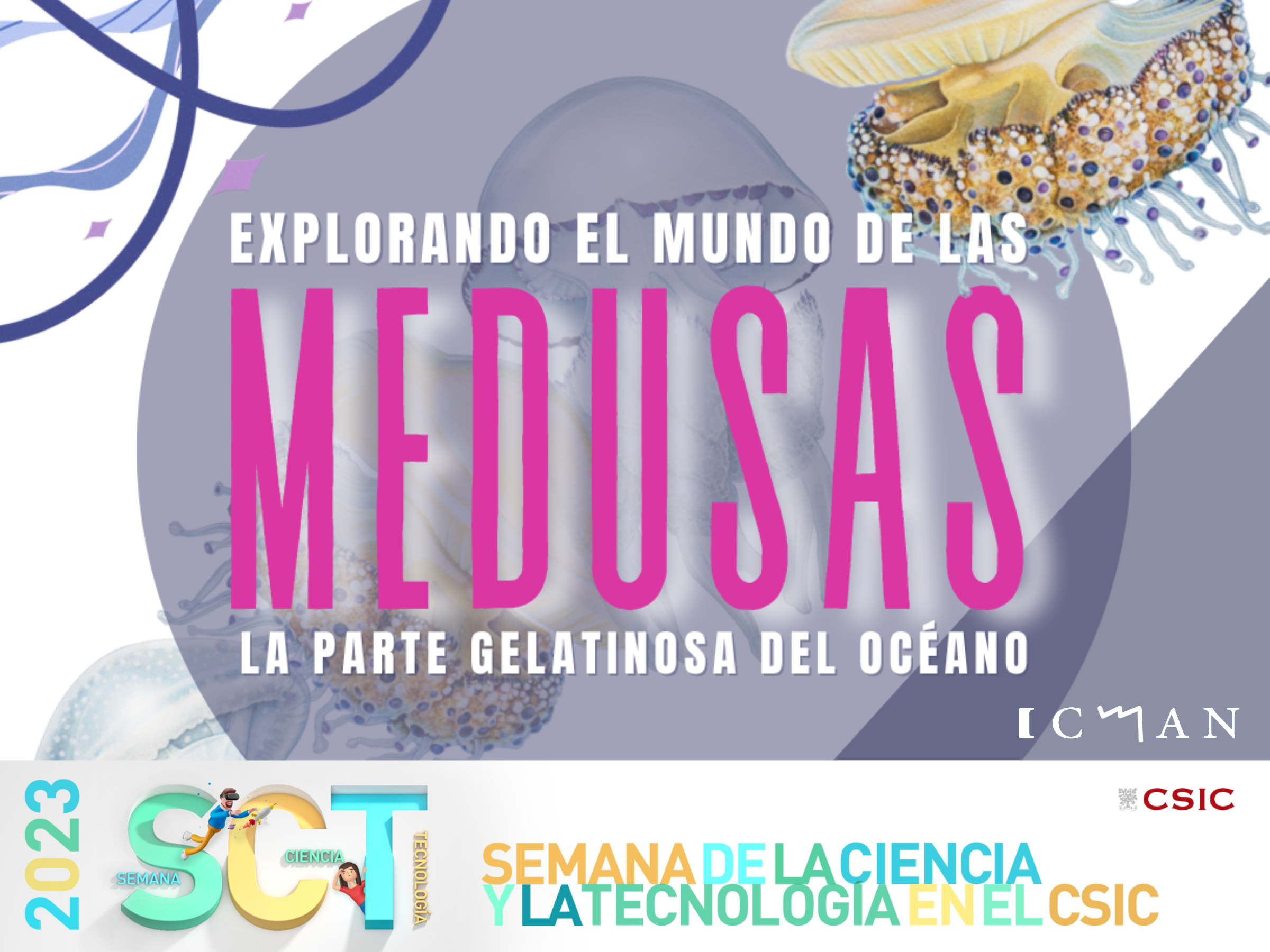Explorando el mundo de las medusas: La parte gelatinosa del océano