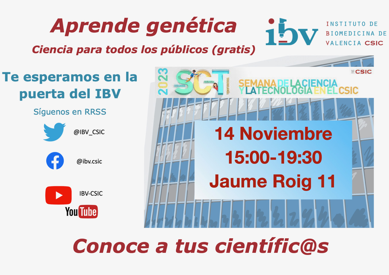 Fachada del IBV donde se realizarán los talleres